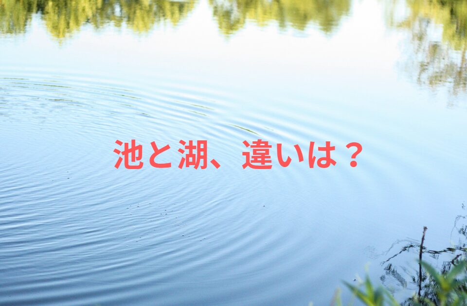 池と湖、違いは？釣太郎