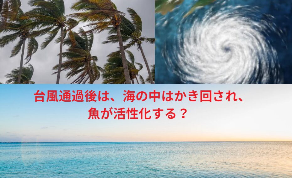 台風が通過すると、海の中がかき回され、酸素がいきわたる為、魚は活性化して釣りやすくなる？釣太郎