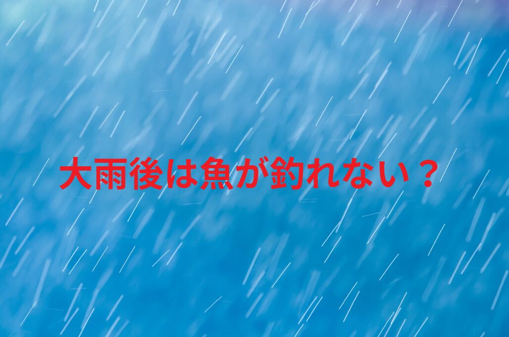 大雨の後は魚が釣れない、と言うのは真実か？釣太郎