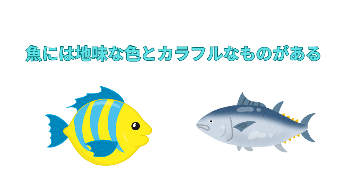 魚には地味な色とカラフルなものがある理由説明。釣太郎