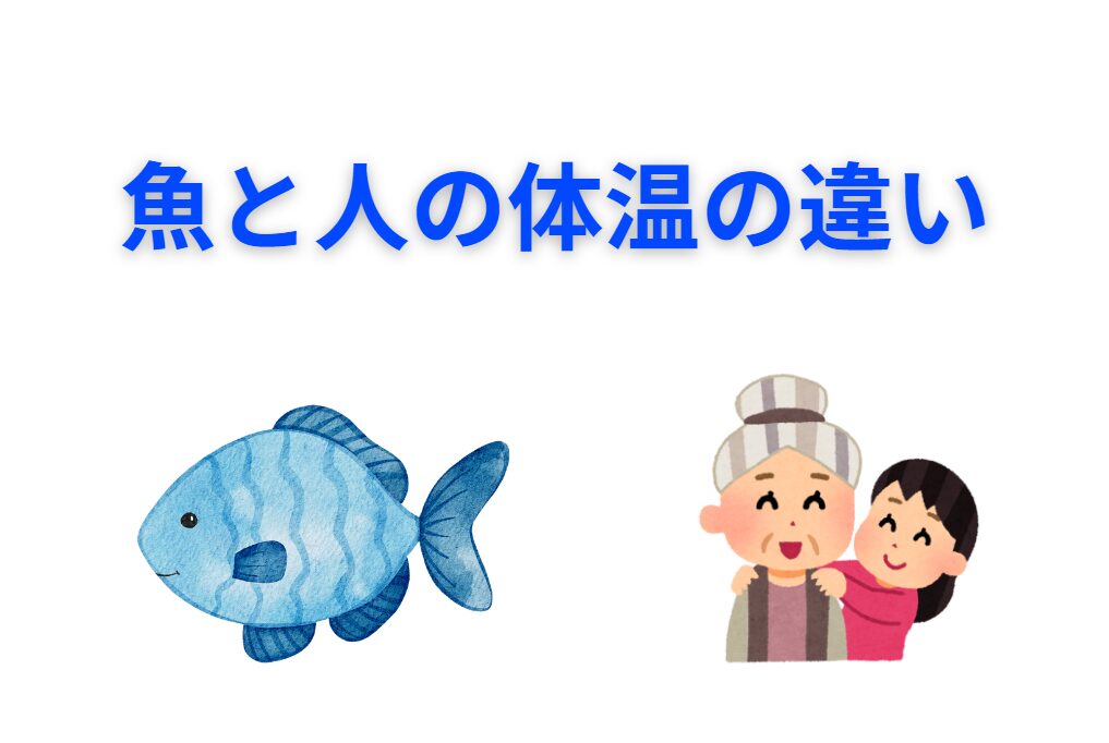 魚と人間の体温の違いについてのご説明。釣太郎