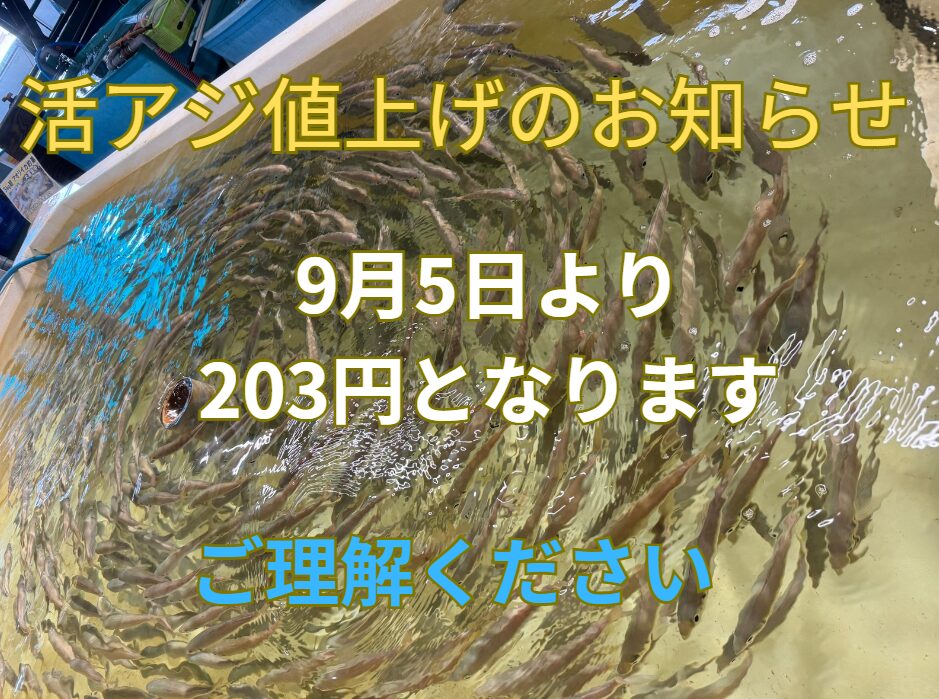 9月5日よりアオリイカ釣り、のませエサの活アジ203円となります。ご了承ください。釣太郎
