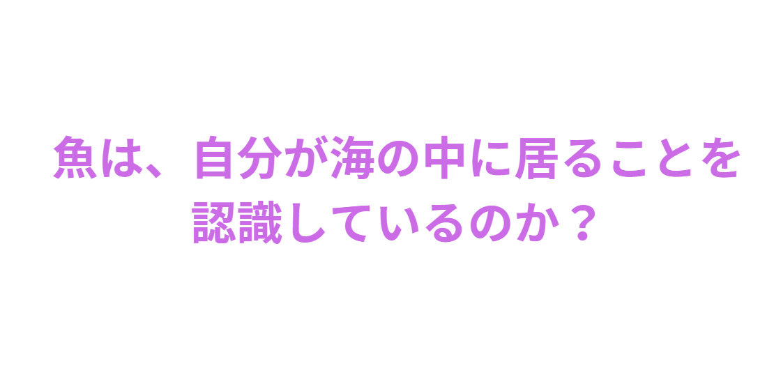 魚は、自分が海の中に居ることを認識しているのか？釣太郎