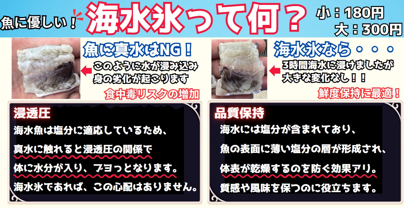真水氷より売れている「海水氷」のメリットご説明。魚を冷やすなら最適。釣太郎