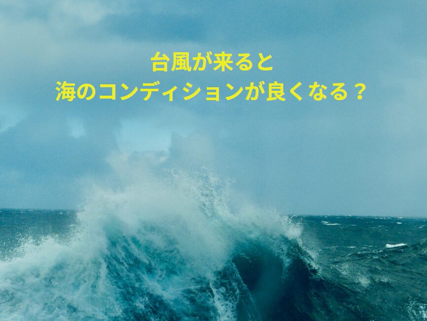 台風が来ると海の中がかき回され、コンディションが良くなる？釣太郎