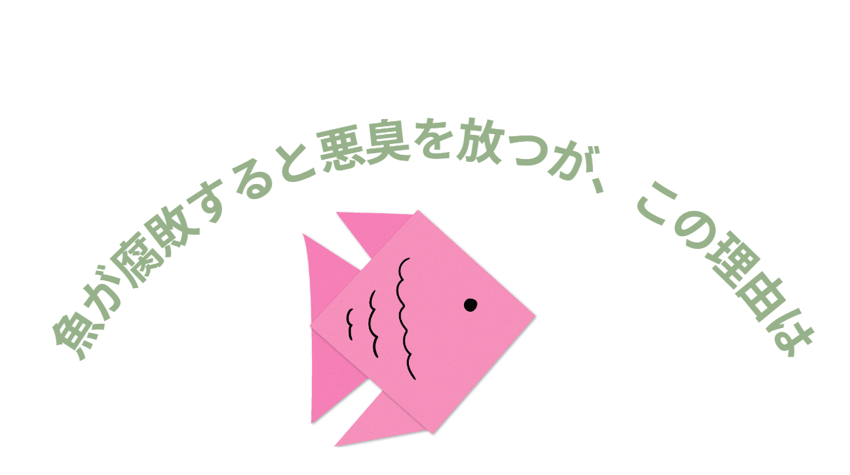魚が腐敗すると臭いが、このにおいは何が原因？釣太郎