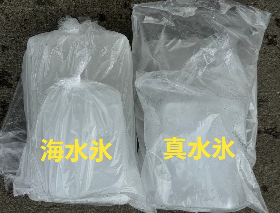 通常の氷は真水で作っていますが、海水氷は海水を凍らせています。これが魚にいいと大好評。釣太郎