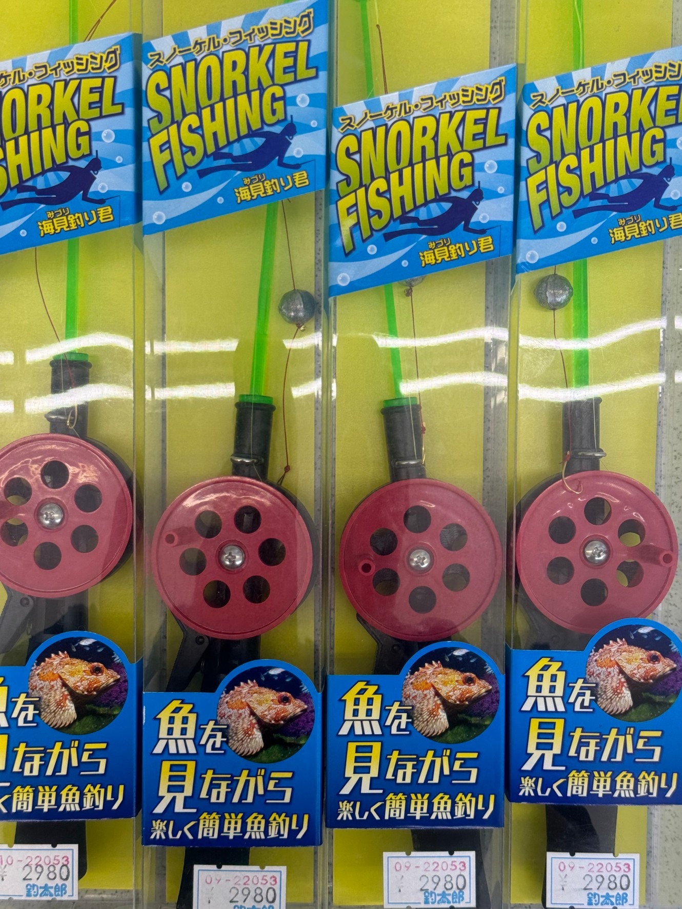 シュノーケル・フィッシング。泳ぎながら魚釣りができます。釣太郎