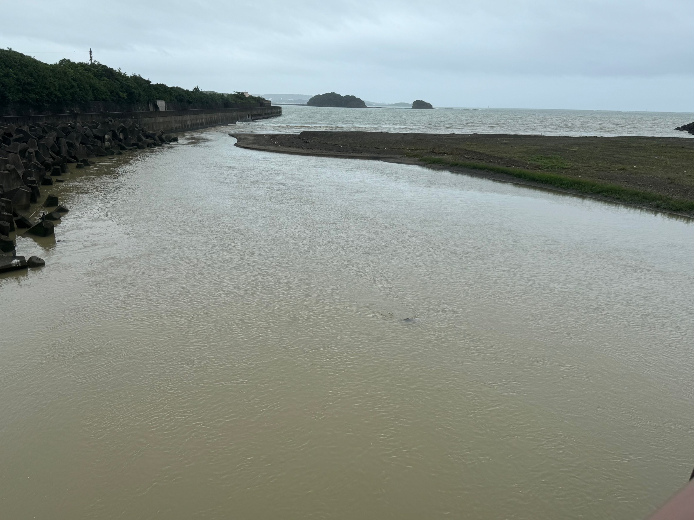 大量の雨水が海に流れ込んだ場合、どれくらいで海水と同化する？釣太郎