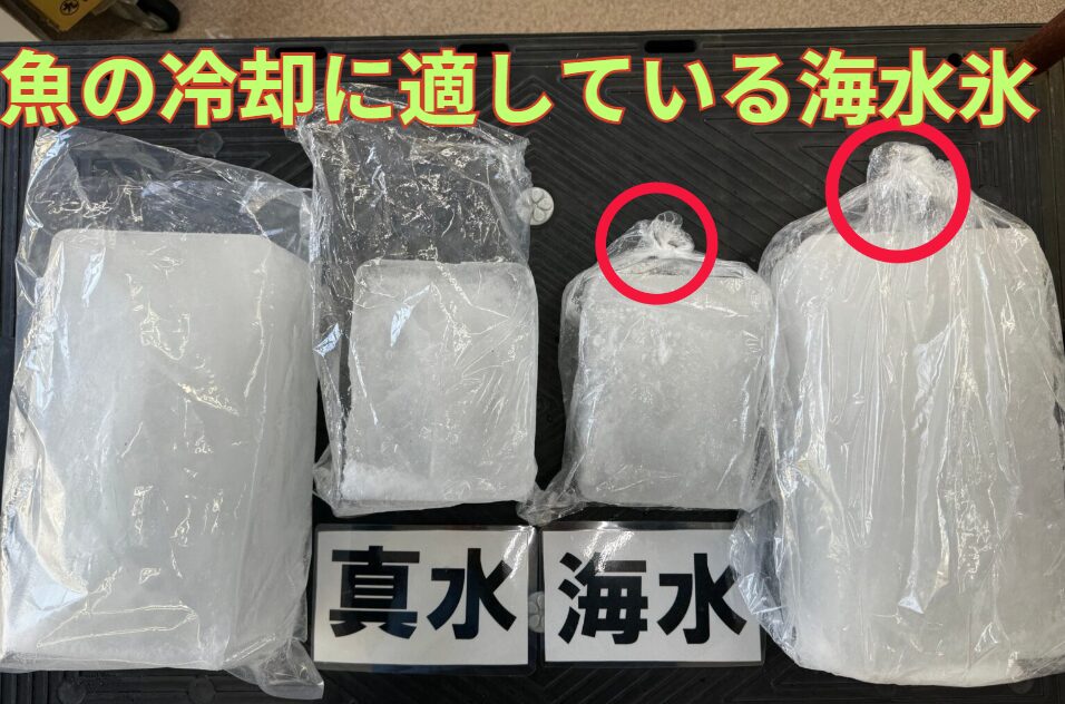 魚の冷却には真水氷より海水氷の方がいいと、人気沸騰中の海水氷。大3キロと小1㌔があります。釣太郎