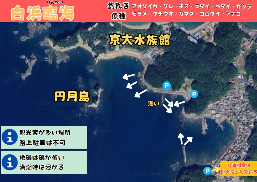 白浜臨海円月島近辺は、春の大型アオリイカ釣り場として有名ですが、秋の新子釣りにも使えます。釣太郎