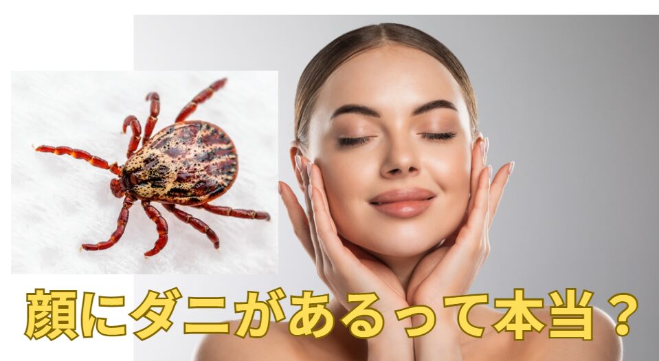 人間の顔にはダニが住み着いているって知ってますか？釣太郎
