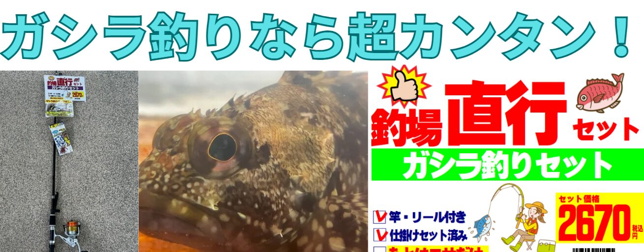 「竿＆リール＆仕掛け」がフルセットの釣場直行セット。一番人気はカサゴ（ガシラ）。手ぶらで魚釣りが楽しめます。海を満喫するなら、フィッシングがお勧め。釣太郎