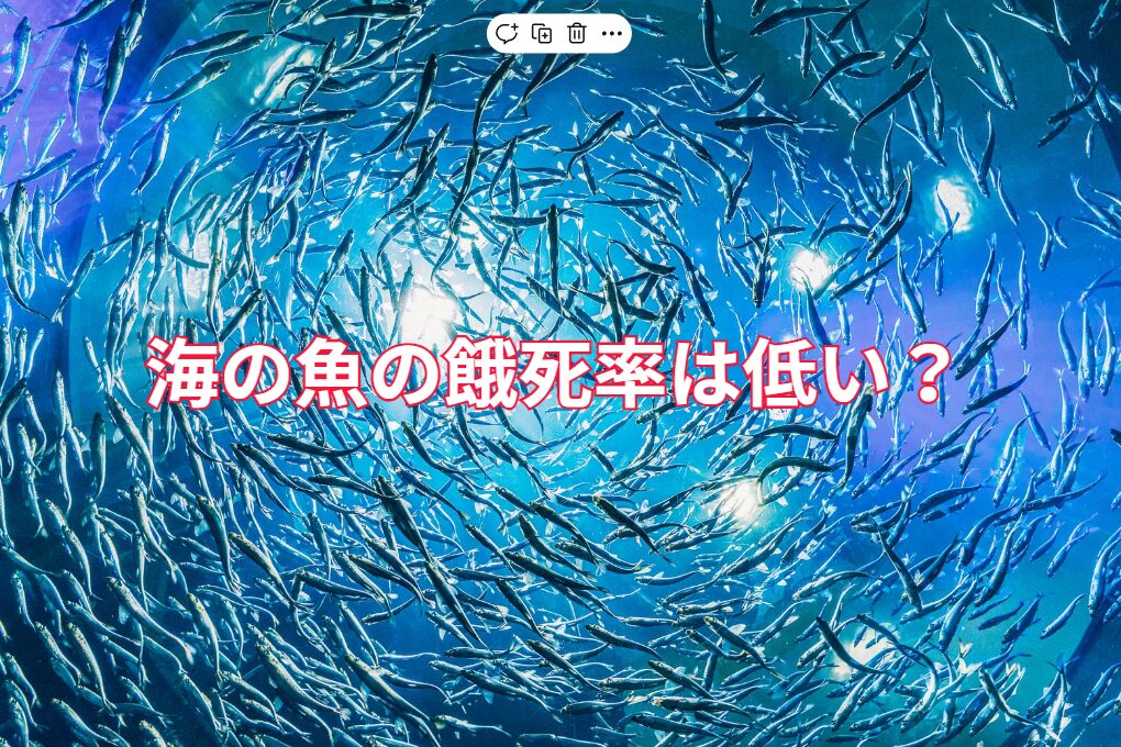 海の魚は餓死、病気、捕食、人間による捕獲、それぞれどれくらいの割合か?釣太郎