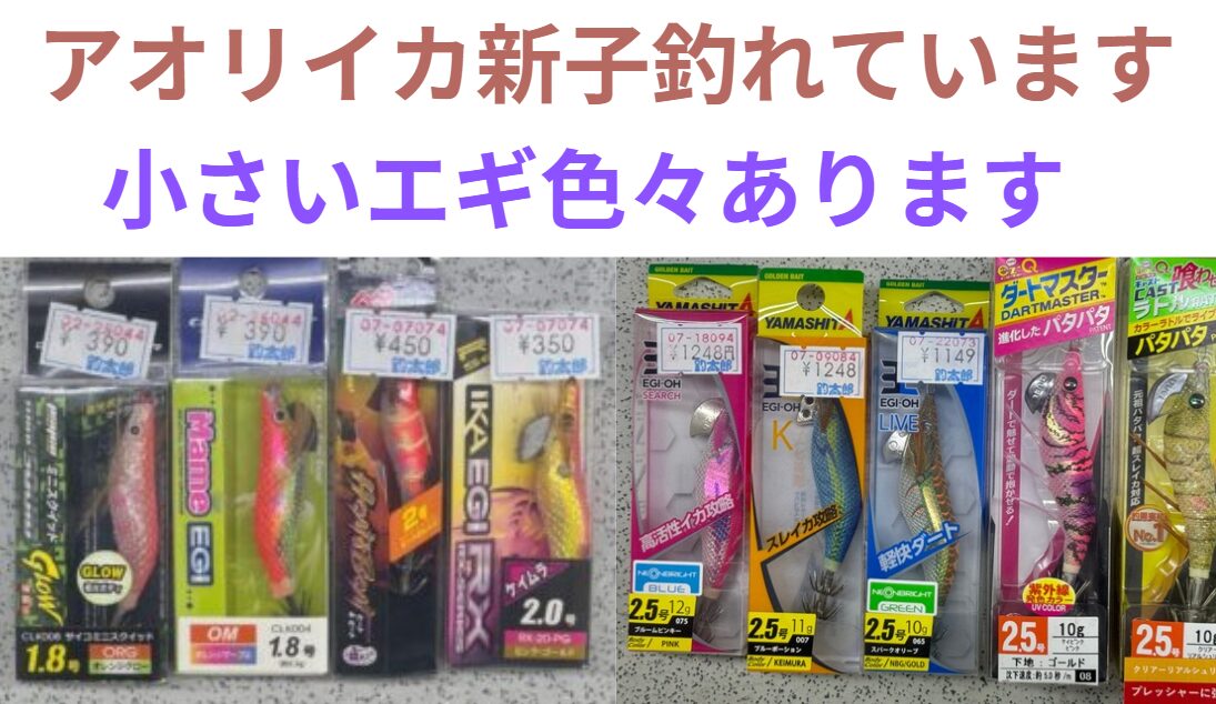 新子アオリイカ用の小さなエギ、１.８号、２号、２．５号あります。釣太郎