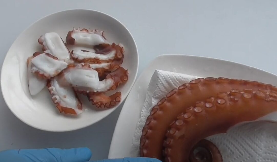 スーパーで売っているタコと地ダコでは、同じタコでも全く違う。この理由をchatGPTが説明します。釣太郎