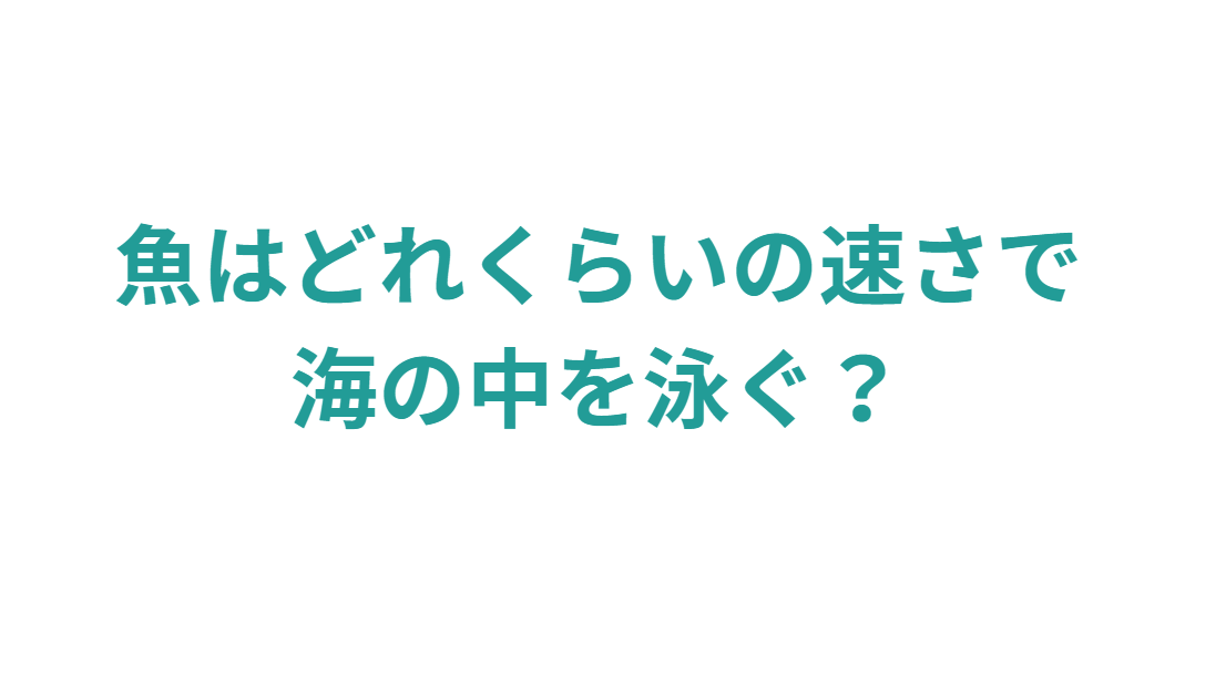 海の中では、魚はどれくらいの速さで泳いでいる?釣太郎