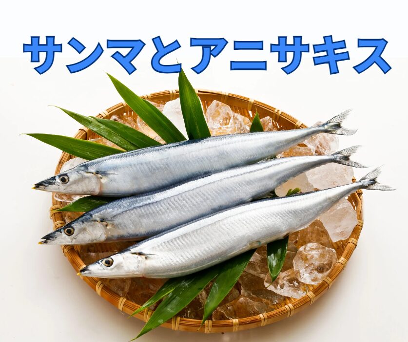 サンマには危険な寄生虫アニサキスが入っていることもあります。釣太郎
