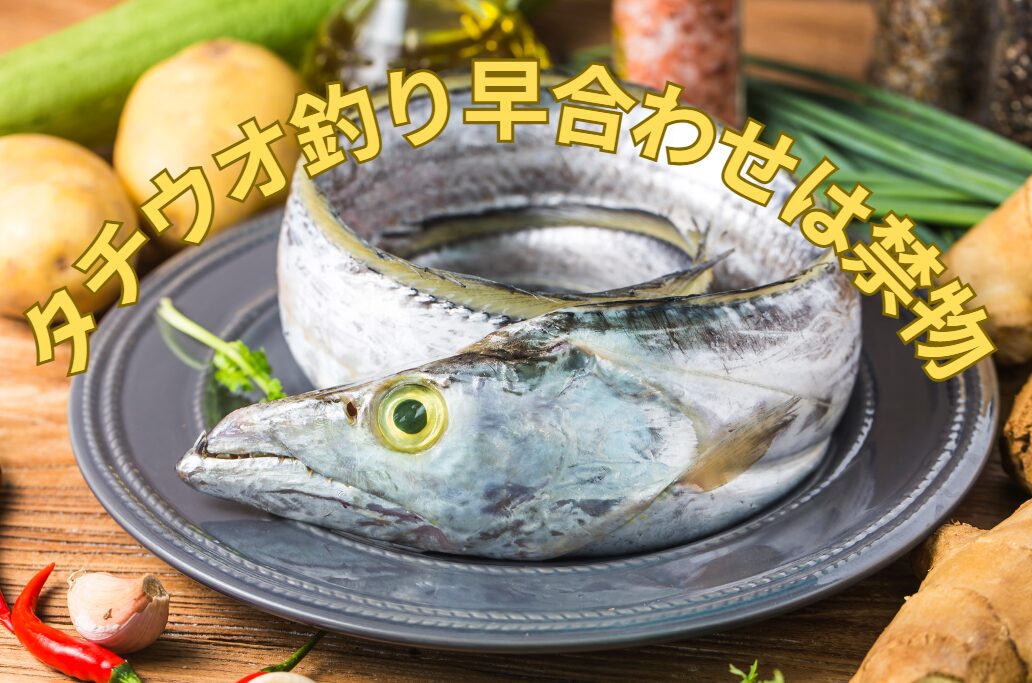 太刀魚釣り、早合わせはタブーの理由説明。釣太郎