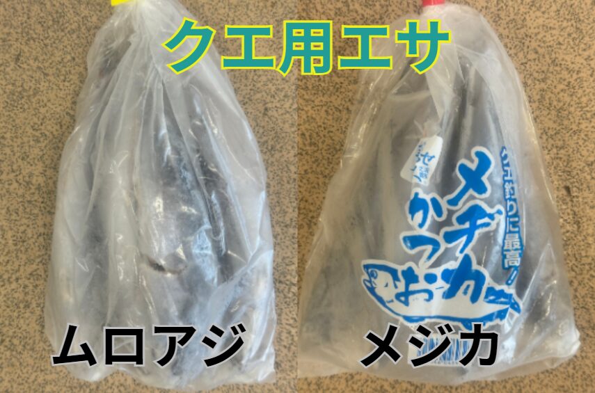 クエ釣りエサとして人気が高いメジカ（メヂカ）とムロアジ。釣太郎