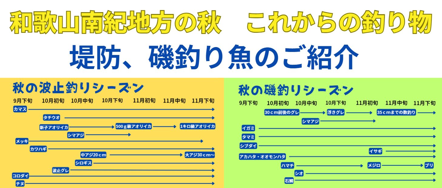 秋に釣れる魚のご紹介。堤防と磯に分けてご案内。和歌山南紀・釣太郎