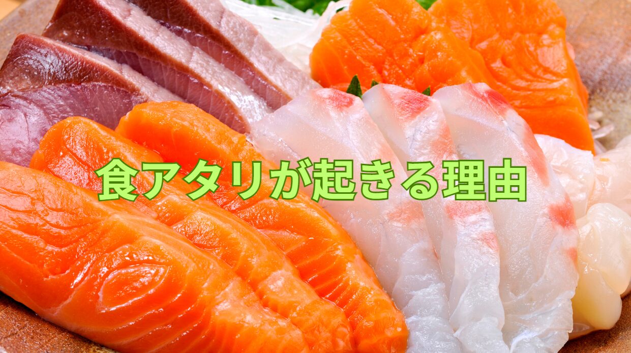 魚の刺身を食べた時、食中毒が起きる理由説明。釣太郎