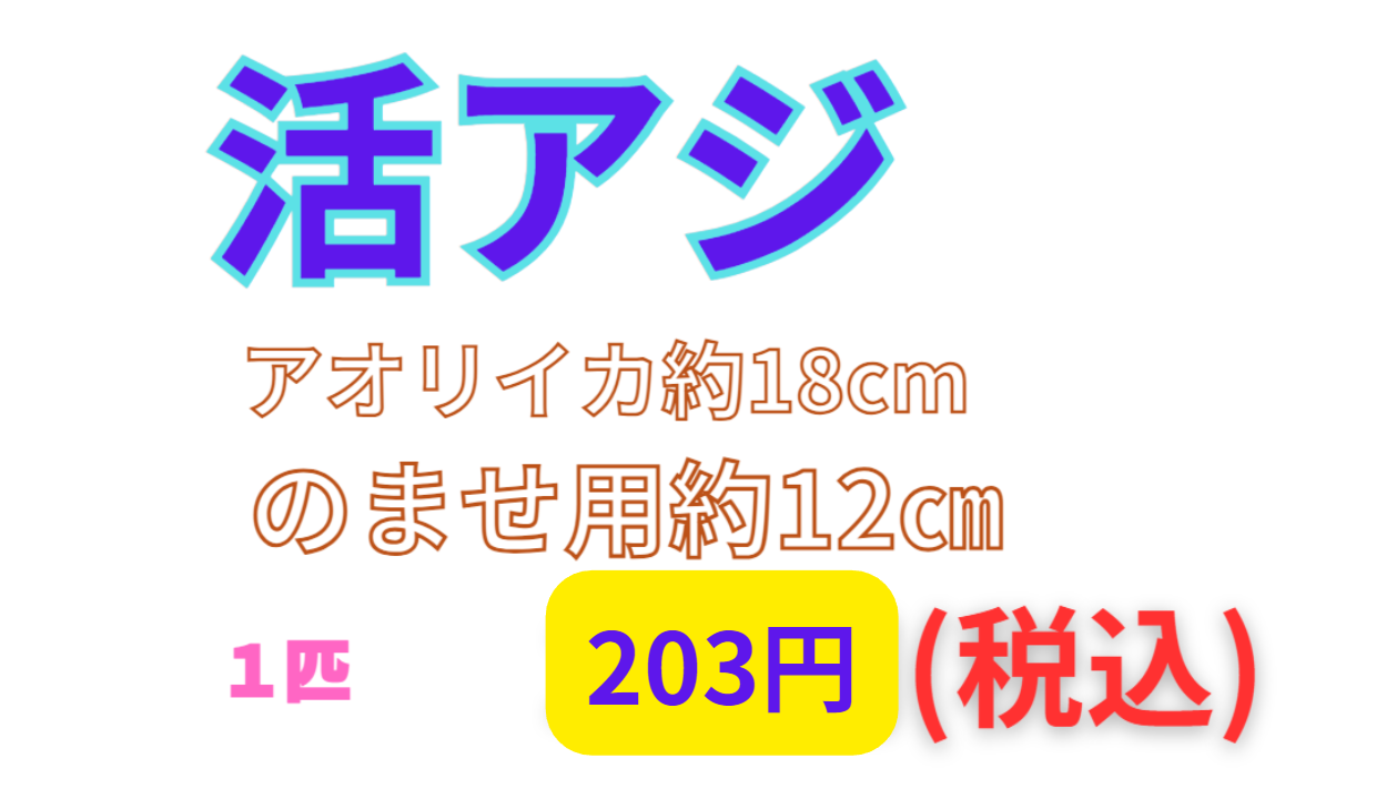 活アジ、のませ＆アオリイカ釣り用、1匹203円。釣太郎