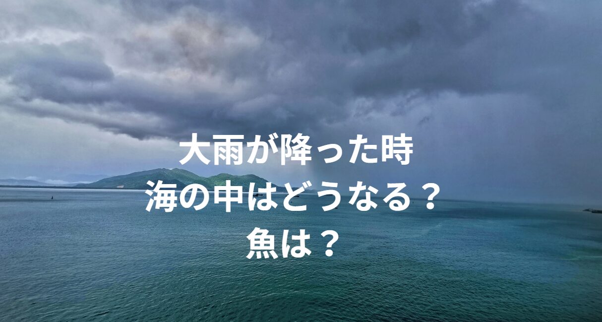 大雨が降った時、海の中はどうなっている？魚はどうしている？釣太郎