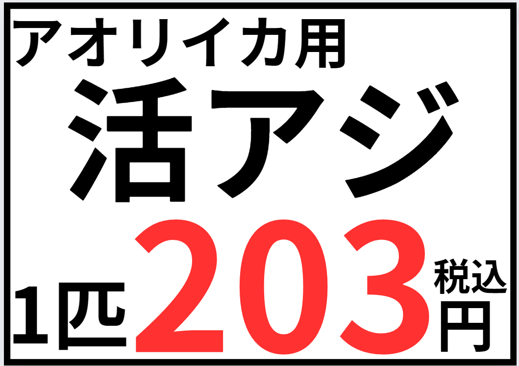 アオリイカ釣り用活アジあります。１匹２０３円。税込み。釣太郎