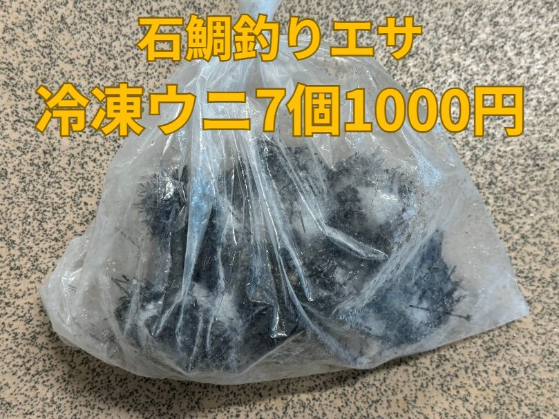 石鯛釣りエサ、冷凍ウニ7個1000円。生がない時はコレ。釣太郎