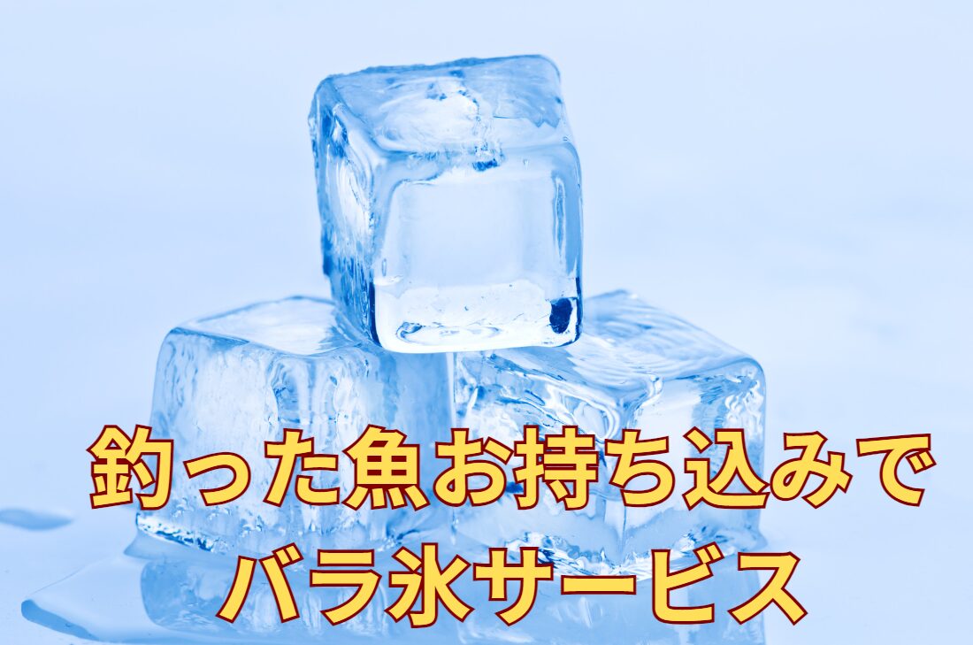 釣果お待ちしています。バラ氷180円サービス中。釣太郎