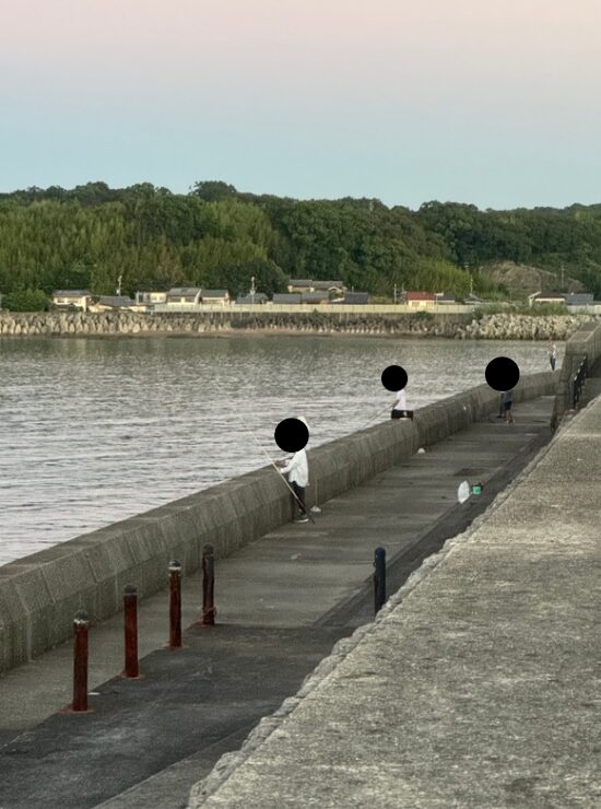 今は釣り人が少ない田辺市芳養（はや）堤防ですが、もうすぐカマス、太刀魚釣りで場所取りが大変となります。