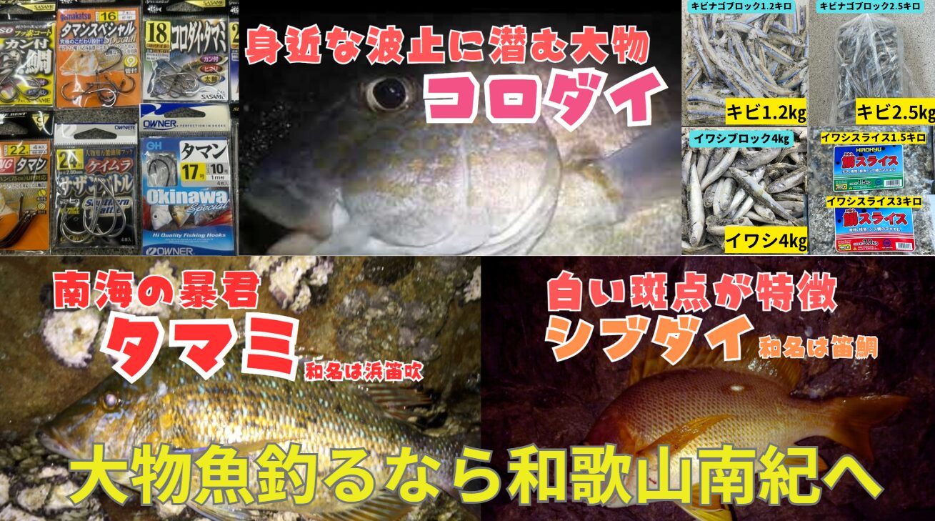 大物魚釣るなら和歌山南紀へお越しください。大魚釣針、小物、エサ一式ご用意しています。タマミ(タマン、ハマフエフキ)、シブダイ(フエダイ)、コロダイ釣り用品充実しています。釣太郎