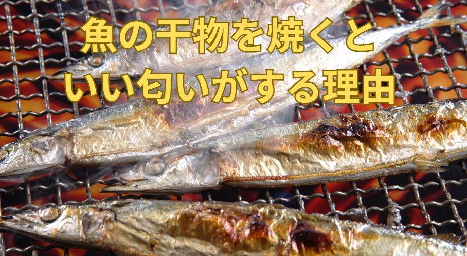 魚の干物を焼くと、食欲を湧くいい匂いがするのはなぜ?釣太郎