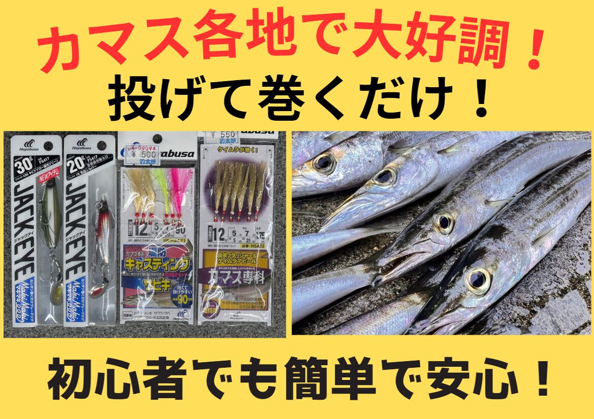 カマスたくさん釣るならジグサビキがお勧め。仕掛けあります。釣太郎
