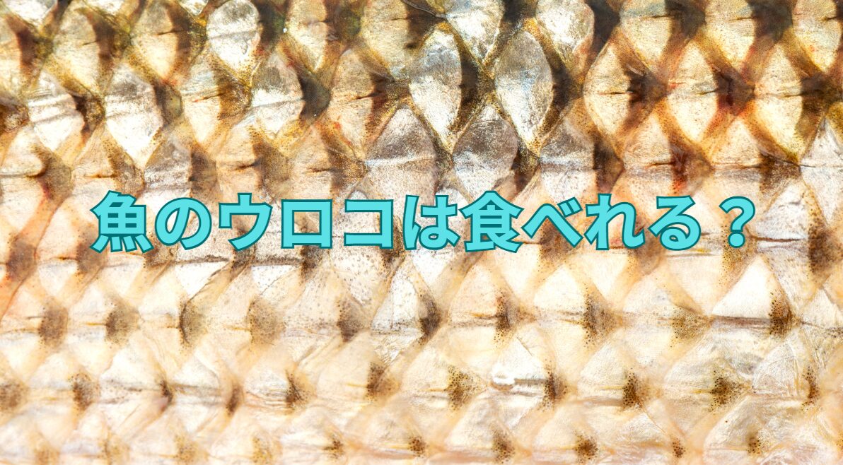魚のウロコは食べれるのか？釣太郎