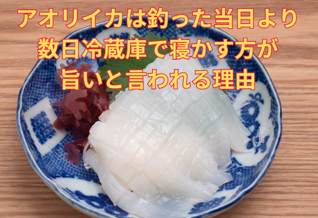 アオリイカは釣った当日より、数日冷蔵庫で寝かせた方が美味しいという人が多い。この理由説明。釣太郎