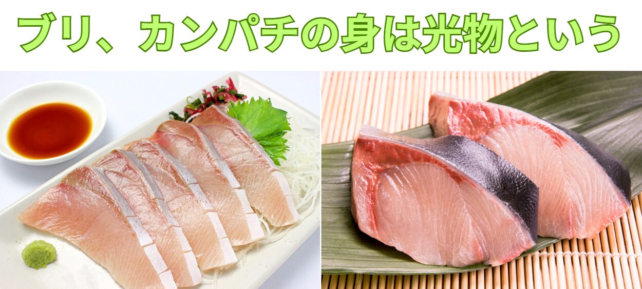 白身とは異なる、ブリやカンパチの身を光物という。釣太郎