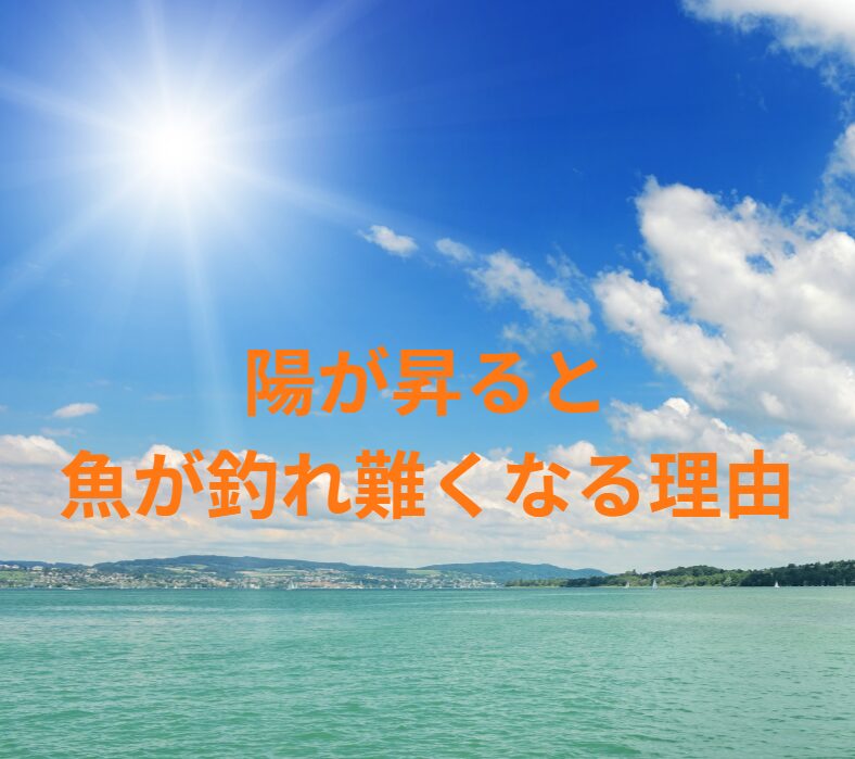 陽が昇り明るくなると、魚は釣れにくくなる。この理由説明。釣太郎