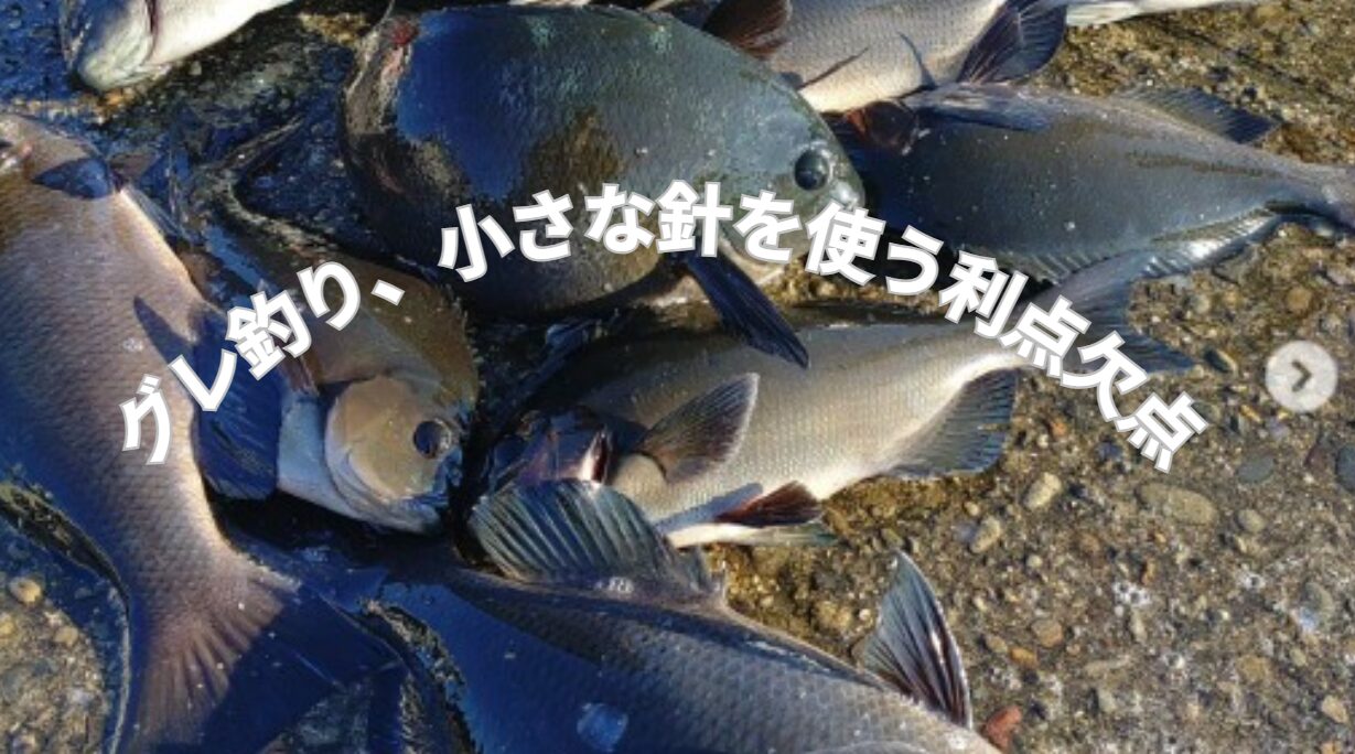 グレ（メジナ）釣りで、小さな針を使うことのメリットとデメリットのご説明。釣太郎