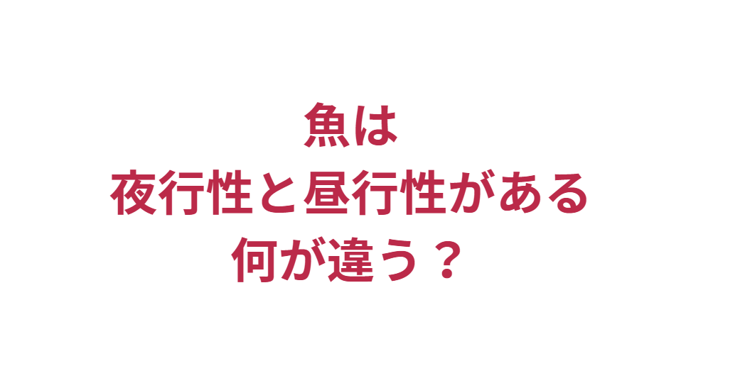 魚は夜行性と、明るくなってから動く昼行性がある。この違いは何？釣太郎