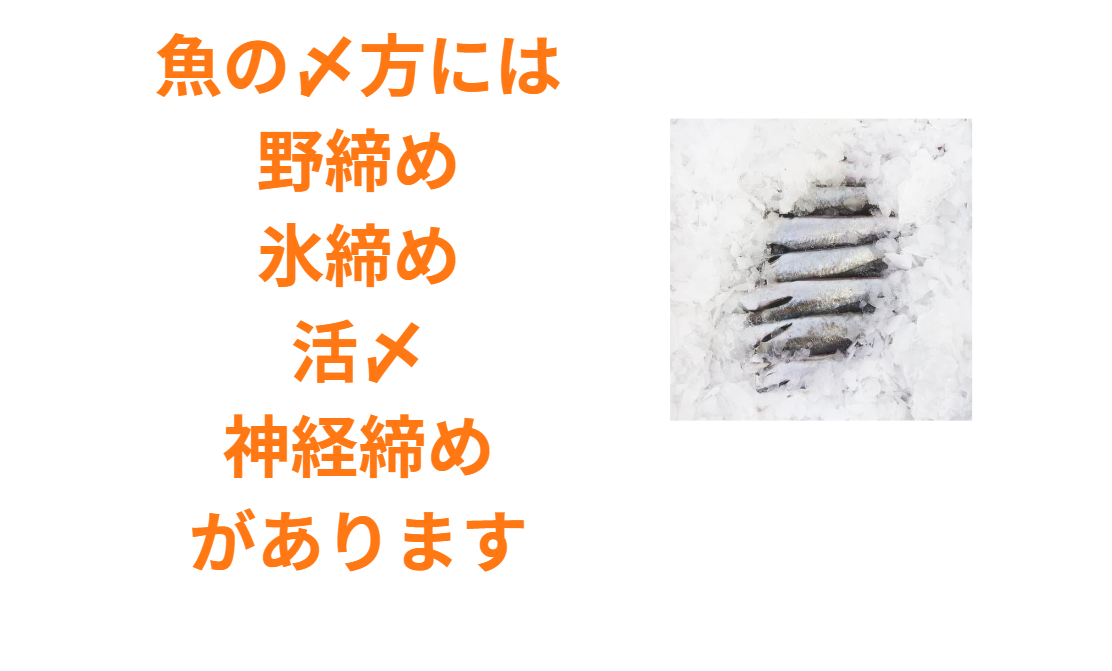 魚の〆方、野〆、氷〆、活〆、神経〆の特徴説明。釣った後の処理で、魚の味と品質は全く変わります。釣太郎