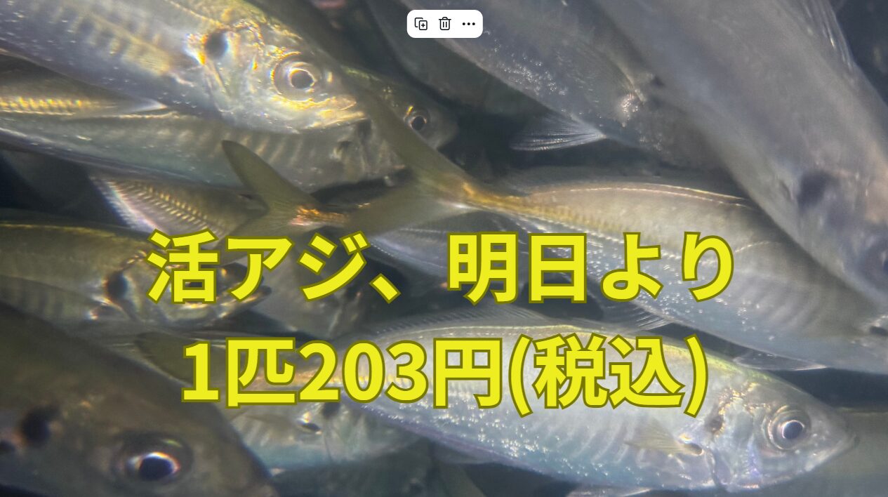 活アジ、明日9月5日より203円（税込み）になります。釣太郎