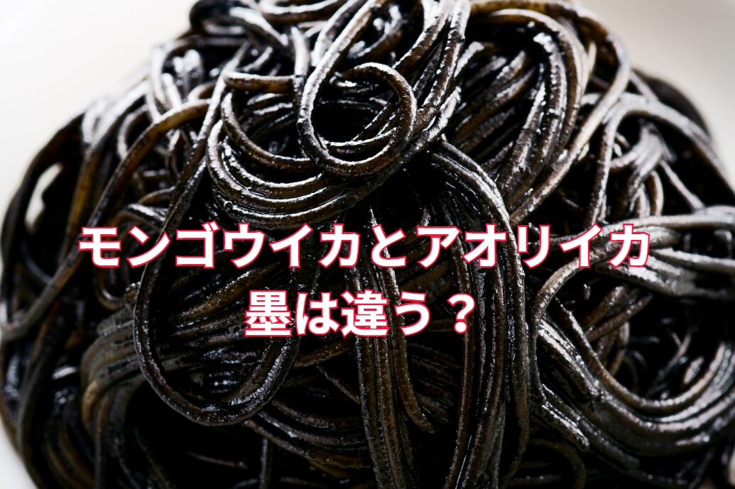 モンゴウイカとアオリイカ、墨は違う?釣太郎