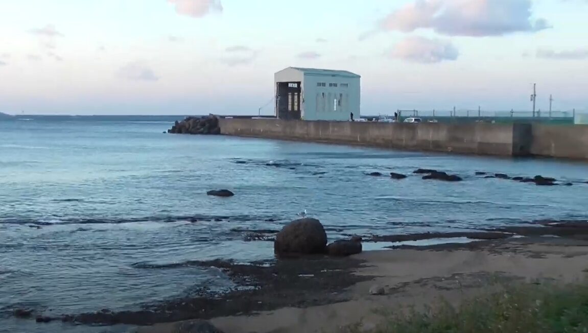 言わずと知れたみなべ店前グランド横は「アオリイカ釣り聖地」として、あまりにも有名。和歌山釣太郎