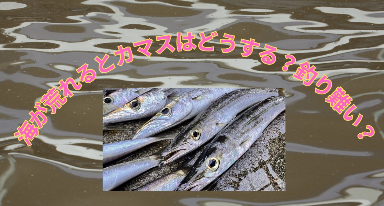 カマスは海が荒れると、どこに移動する？濁ると釣り難い？湾内に入り込むこともあるのか？釣太郎