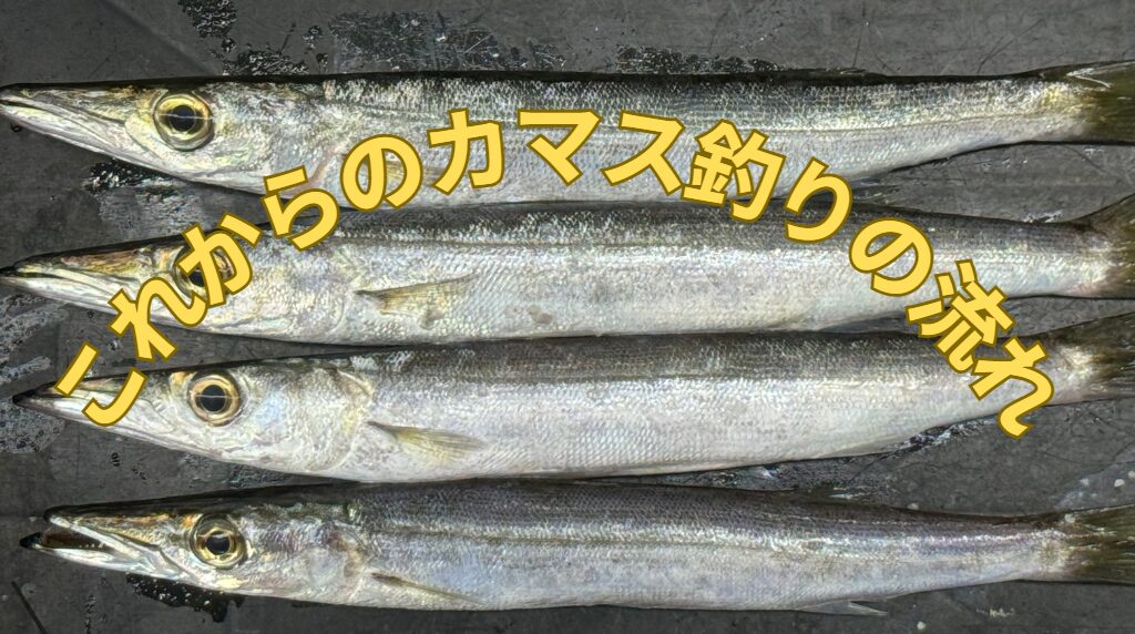 これからの南紀地方のカマス釣りの大中な流れのご紹介。釣太郎