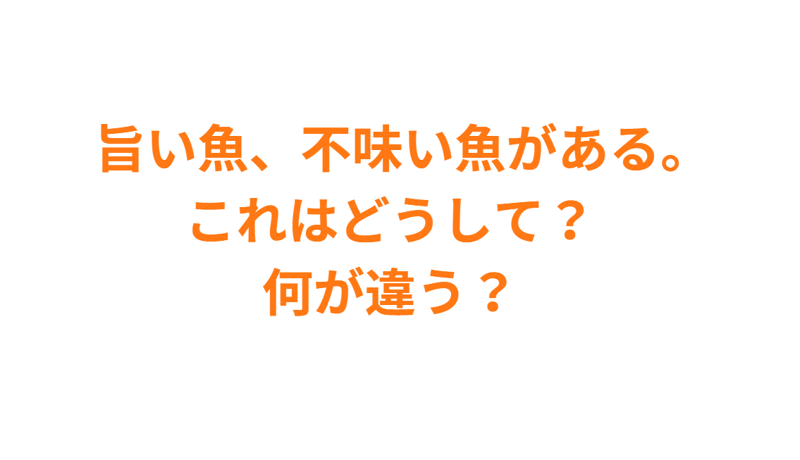 旨い魚、不味い魚がある。これはどうして？何が違う？釣太郎