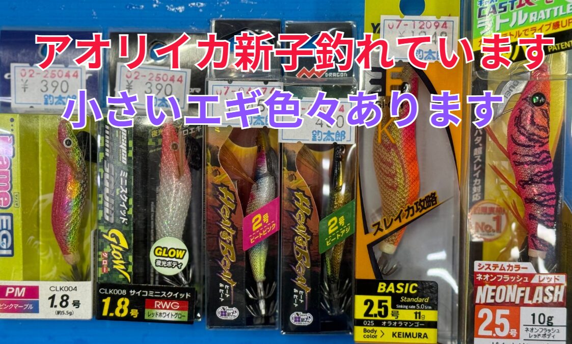 今シーズンアオリイカ新子が多く、あちこちで釣れています。小さ目のエギ各種あります。釣太郎