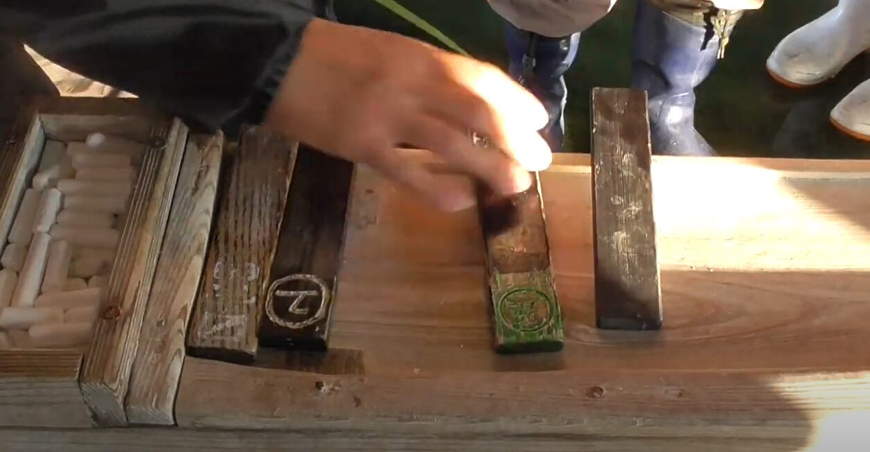 地方市場の入札は実に様々。和歌山みなべ堺漁協では札に価格を入れ、チョークで漢字で数字3桁まで書きます。落札された価格が浜値(はまね)。釣太郎